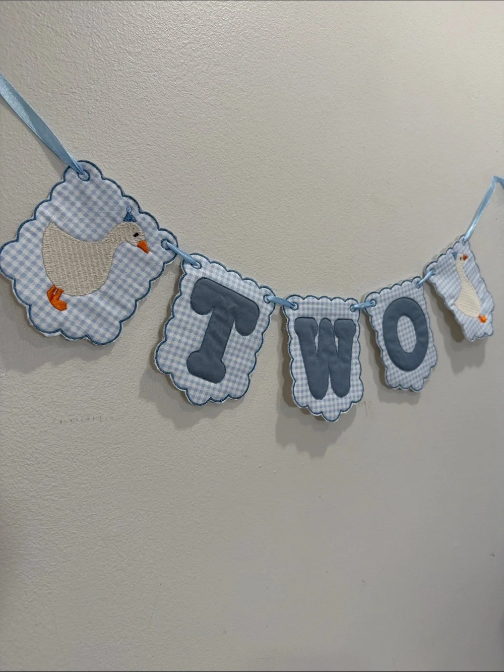 Two Blue Gingham Party Banner - Baby/Children's Celebration